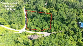 361 Oakwood Dr, Sevierville, TN 37876