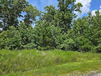 0 Anchor Rd Unit 132441, Murray, KY 42071