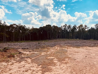 0 Owens Rd Unit 13448663, Woodbury, GA 30293