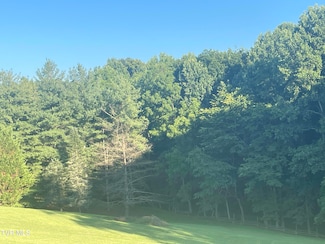 Tbd Off Warrior Country Acres Ln, Elizabethton, TN 37643