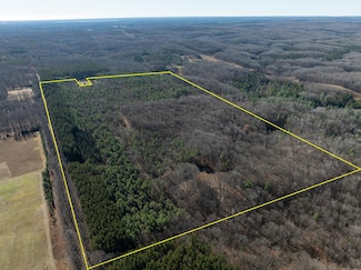 76 E 22 Rd, Manton, MI 49663