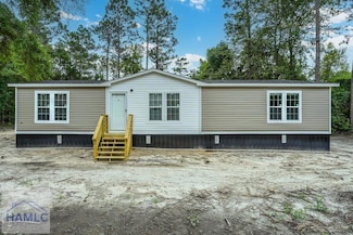 6320 Mount Pleasant Rd, Hortense, GA 31543