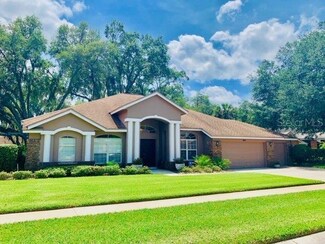 909 Belle Timbre Ave, Brandon, FL 33511