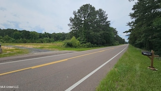 0 Mississippi 43, Pelahatchie, MS 39145