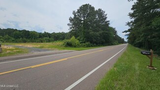 0 Pelahatchie Rd Unit 4115008, Pelahatchie, MS 39145