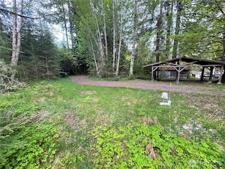 33823 State Route 706 E Unit 4, Ashford, WA 98304