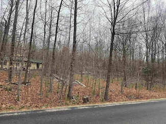 1413 Lake Dunmore Rd, Leicester, VT 05733