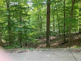 130 Wood Lomond Way, Huntington, WV 25705