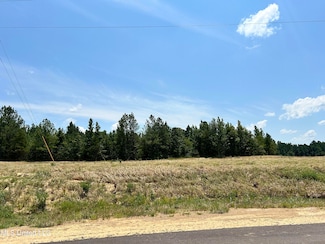 21 Hazelwood Dr, Lake Cormorant, MS 38641