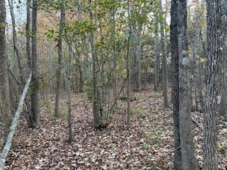 437850 State Highway 3, Fort Towson, OK 74735