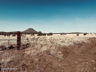 90c Volcano Trail, Ash Fork, AZ 86320