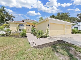 8708 Eagle Cove Ct, Tampa, FL 33635