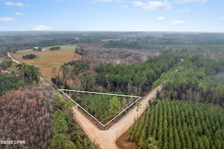 XXX White Rd Unit 1.14 Acres, Chipley, FL 32428