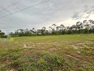 4361 NW 34th Ave, Cape Coral, FL 33993