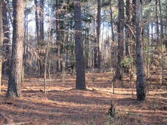 0 Cotton Acres Rd, Dalzell, SC 29040