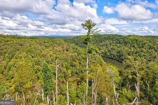LT 931R Myna Dr, Ellijay, GA 30540