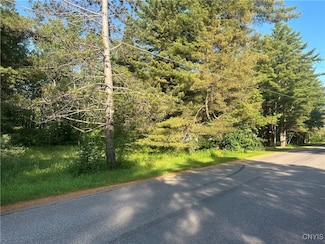 36130 Jackson II Rd, Carthage, NY 13619