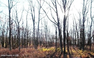 TW Lot 552 Blue Spruce Dr, Hazle Township, PA 18202