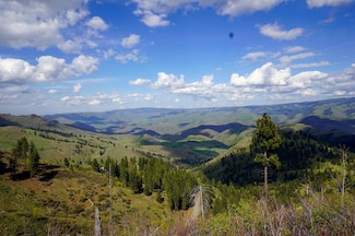 1614 Deer Creek Rd, White Bird, ID 83554