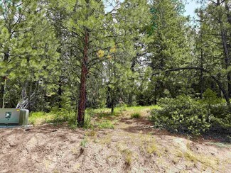 53 Landale Ln, Cascade, ID 83611