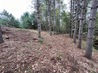 Lot 1 Hwy 70, Saint Germain, WI 54558