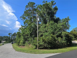 76 Wood Cedar Dr, Palm Coast, FL 32164