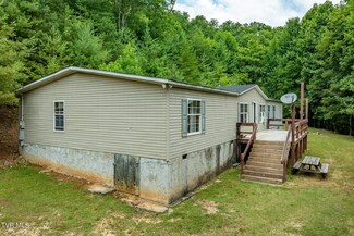 264 Kaitlin Rd, Hampton, TN 37658