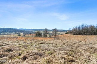 25 Acres Clear Creek Rd, Chuckey, TN 37641