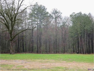 TBD Louisiana 409, Slaughter, LA 70777