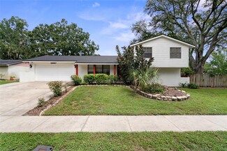 23817 Lake Walk Ct, Lutz, FL 33559
