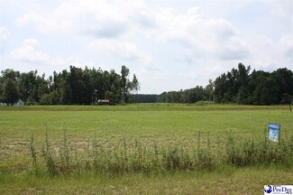 0 Huggins Rd Unit 129253, Lake City, SC 29560