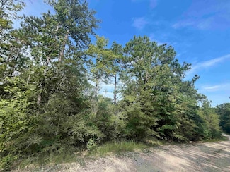 32589 Crenshaw Dr, Brookeland, TX 75931