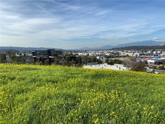 0 Stoner Creek Rd Colima Rd Unit RS23068855, Rowland Heights, CA 91748