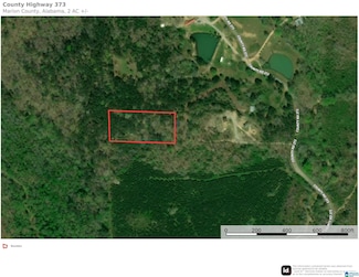 0 County Highway 373 Unit 1 21414956, Haleyville, AL 35565