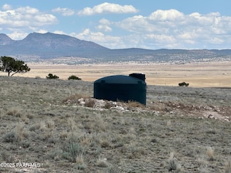 152f N Bonsai Rd, Seligman, AZ 86337