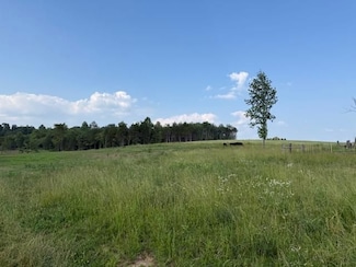 605 Roy Foster Rd, McMinnville, TN 37110