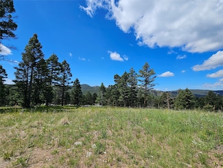 NHN Hoover Creek Osi-73 Rd, Helmville, MT 59843