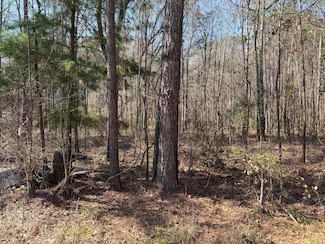 1443 Orangeburg Rd, Summerville, SC 29483