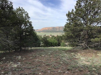Lot 6 Sunflower Dr, Ramah, NM 87321