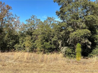 413 W Olympia St, Hernando, FL 34442