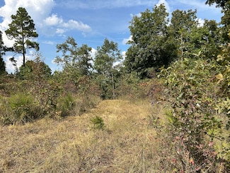 Tbd 7885 County Road 306 Pvt Drive-B, Ava, MO 65608