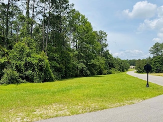 Lot 84 Spring Oak Dr, Carriere, MS 39426