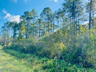 0 Peachtree Rd Unit 312414, Apalachicola, FL 32320
