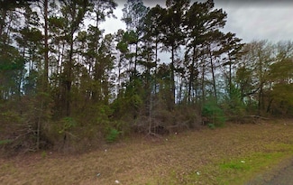 Chestnut Ct, Harleton, TX 75651