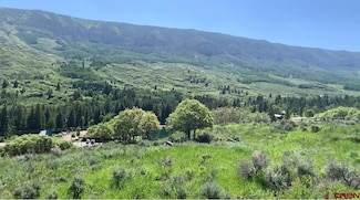 289 Eagles Rest, Cimarron, CO 81220