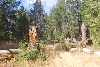 4801 Coyoteville Ln, Fiddletown, CA 95629