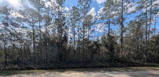 4345 Guy St, Flagler Estates, FL 32145