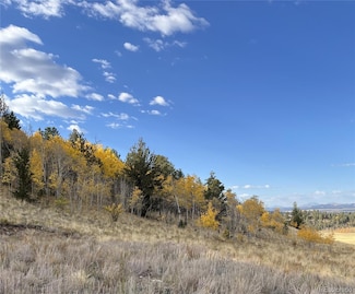 8494 Chickasaw Rd, Hartsel, CO 80449