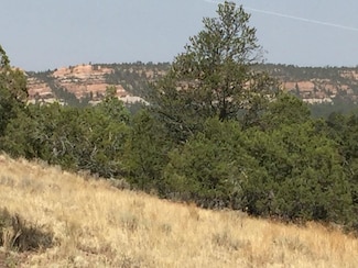 Lot 3 Sunflower Dr, Ramah, NM 87321