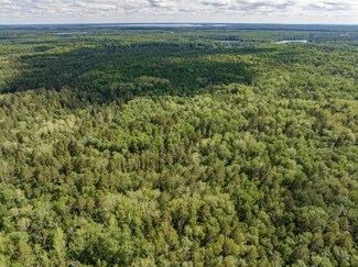 L6 B1 TBD Pine Terrace Rd, Ideal Township, MN 56442
